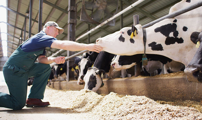 Athian and Elanco launch carbon marketplace for dairy farmers