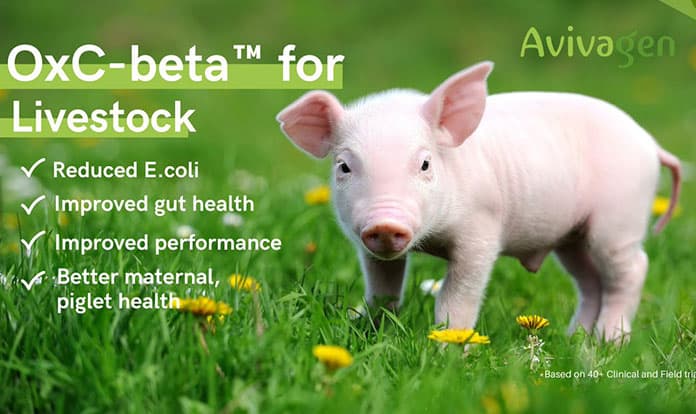 Avivagen announces strategic changes to support growth in Asia and South America