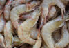 BASF and MSD Animal Health join Sustainable Shrimp Partnership