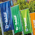 BASF seeks partners for feed enzymes division