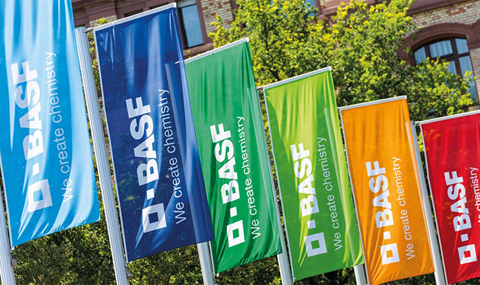 BASF seeks partners for feed enzymes division