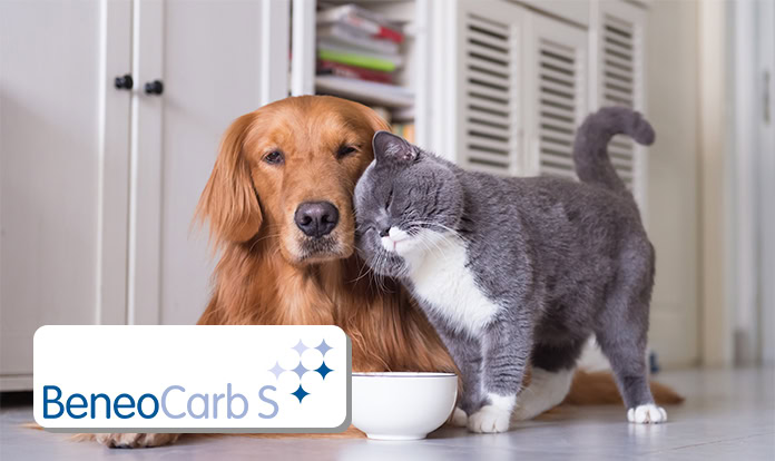 BENEO introduces ingredient for pet food applications