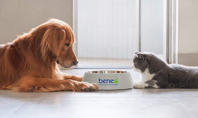 BENEO launches its new vegetable proteins for pet food