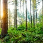 Balchem releases 2020 Sustainability Report