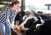 Barentz adds probiotic solution to US dairy portfolio
