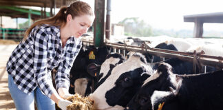 Barentz adds probiotic solution to US dairy portfolio