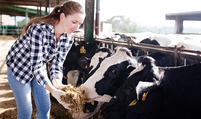 Barentz adds probiotic solution to US dairy portfolio