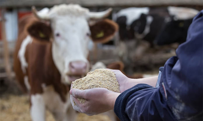 Barentz increases capacity with new investment