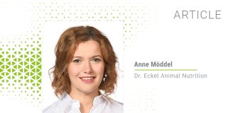 Beat the heat - What layers, broilers and other birds need to conquer heat stress