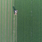 Bel Brands USA, Land O’Lakes joint project receives US Dairy award