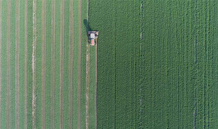 Bel Brands USA, Land O’Lakes joint project receives US Dairy award