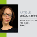 mealworms for premium quality, nutrient rich and sustainable pet food