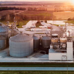 Benson Hill focuses on animal feed markets