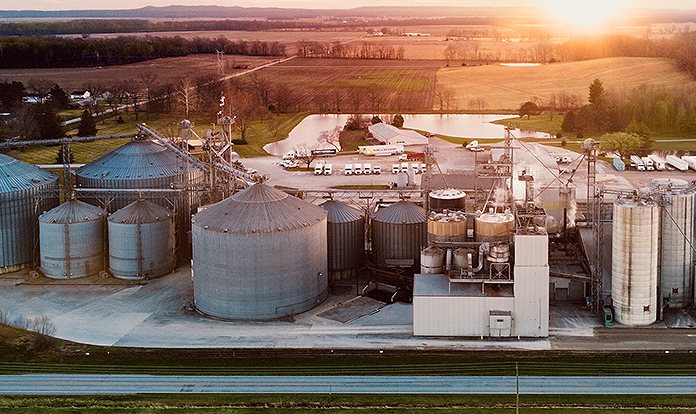 Benson Hill focuses on animal feed markets