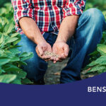 Benson Hill introduces five 2024 soybean varieties