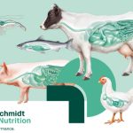 Berg + Schmidt to focus on performance boost for healthy livestock