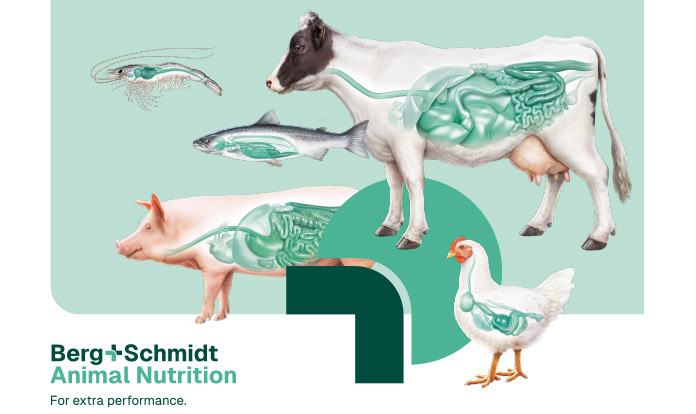 Berg + Schmidt to focus on performance boost for healthy livestock