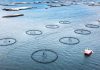BioMar acquires full ownership of Norwegian aquaculture research centre