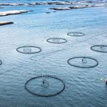 BioMar acquires full ownership of Norwegian aquaculture research centre