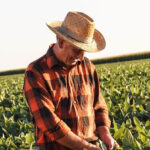 BioMar partners with Benson Hill to boost aquafeed sustainability