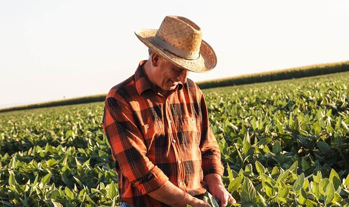 BioMar partners with Benson Hill to boost aquafeed sustainability