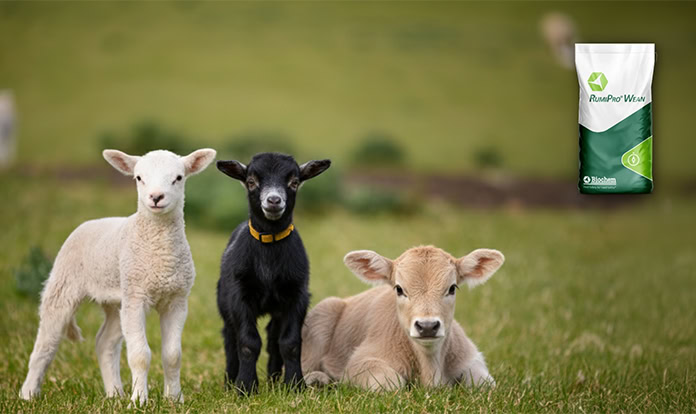 Biochem expands RumiPro product line