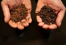 Bioflytech leads AI-driven black soldier fly project