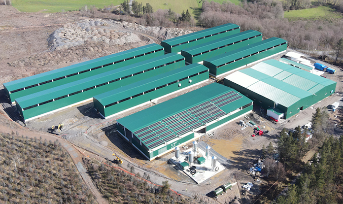 Bioflytech produces flour and fat from dried BSF larvae