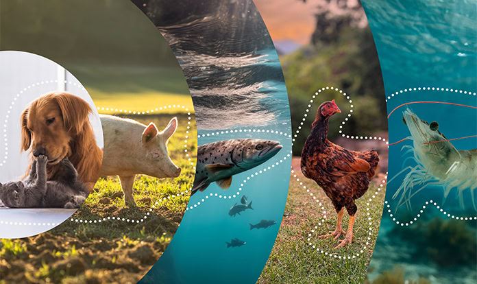 Bioiberica expands Nucleoforce line for animal immunity and gut health