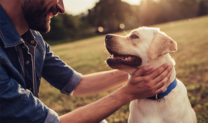 Bioiberica underlines commitment to animal health market in its 25th year