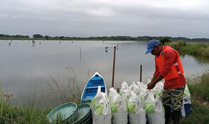 Biomar, Edpacif, Earthworm Foundation, and Auchan collaborate on new sustainable shrimp product