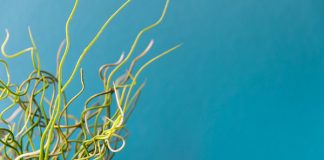 Biotechnology companies sign definitive merger agreement