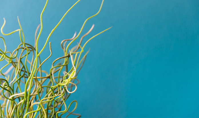 Biotechnology companies sign definitive merger agreement