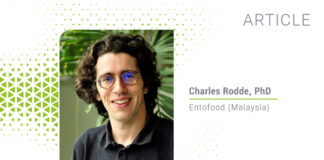 Black soldier fly oil: A promising functional ingredient