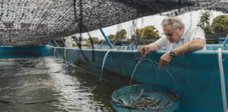 Blue Aqua obtains Aquaculture Stewardship Certification (ASC) for responsible shrimp farming