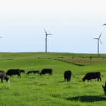 Blue Ocean Barns closes funding round