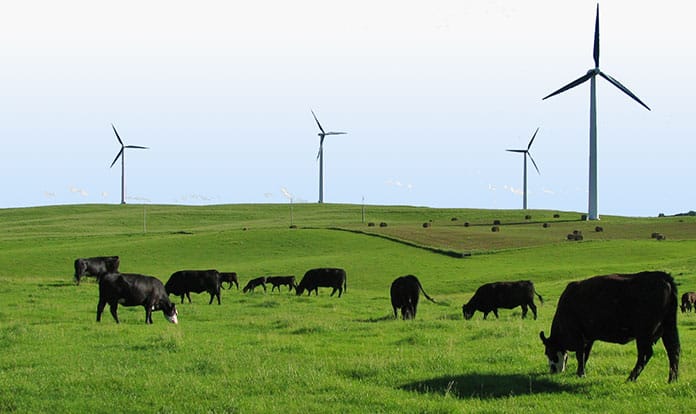 Blue Ocean Barns closes funding round