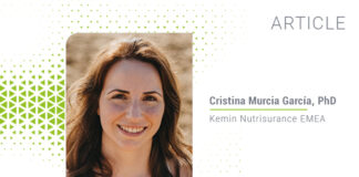 Botanical extracts: The next generation of antioxidants