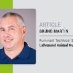 Heat stress management: The importance of beef cattle nutrition