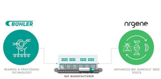 Bühler and Entocycle join forces for industrial insect production
