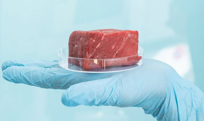 Bühler announces new collaboration for cultivated meat