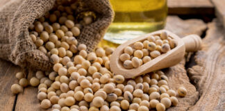 Bunge and BKP expand partnership for deforestation-free soy supply