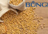 Bunge to invest in soy protein concentrate facility