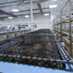 CAT invests in future of genetics and genome editing