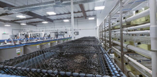 CAT invests in future of genetics and genome editing