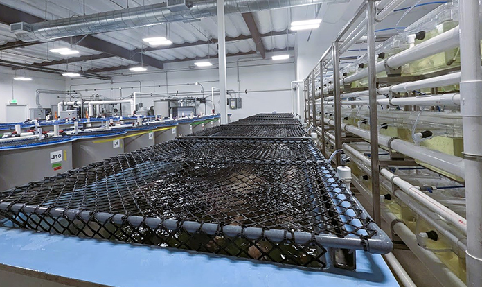 CAT invests in future of genetics and genome editing 