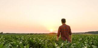 CBS Bio Platforms warns farmers and feed mills about mycotoxin