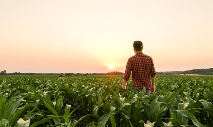 CBS Bio Platforms warns farmers and feed mills about mycotoxin