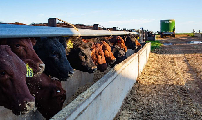 CH4 Global and CirPro join forces to export reduced-methane beef