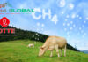 CH4 Global and Lotte to provide methane-reducing feed supplement to 4 million cattle with